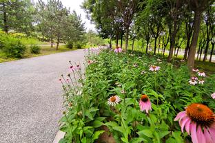 Lời bài hát: We'll Cheer It'S A Long Season